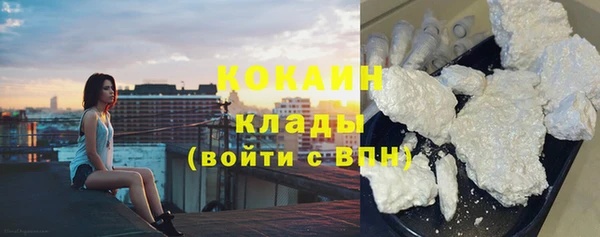 мет Бородино