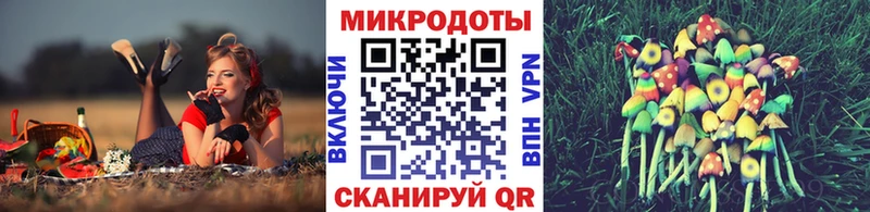 купить наркотики сайты  Благовещенск  Галлюциногенные грибы Magic Shrooms 